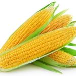 Corn, Yellow Sweet