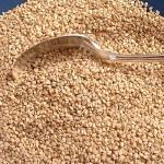 Sesame Seed Bread